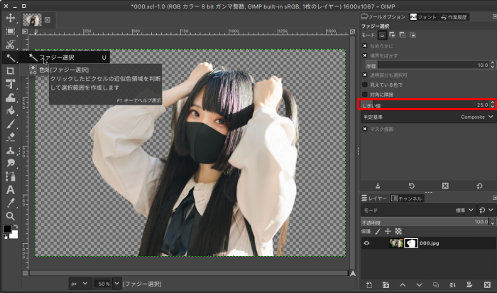 GIMPで人物切り抜きを行う方法 （背景を透明にする方法）