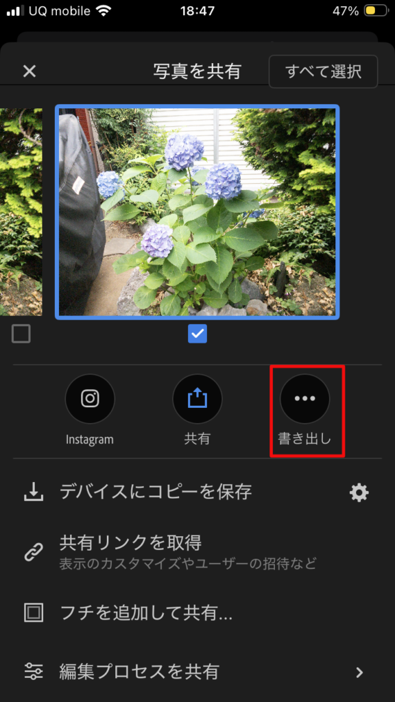 【初心者向け】スマホと無料ソフトで本格的！フィルムカメラ風写真の作り方