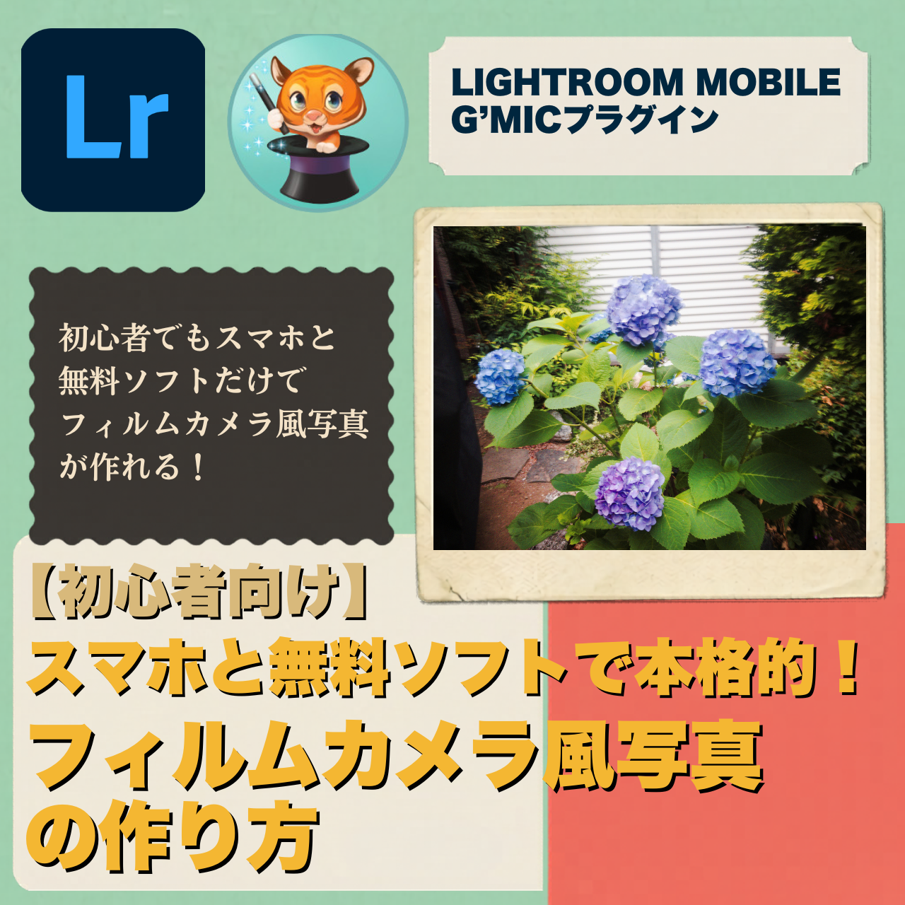 【初心者向け】スマホと無料ソフトで本格的！フィルムカメラ風写真の作り方